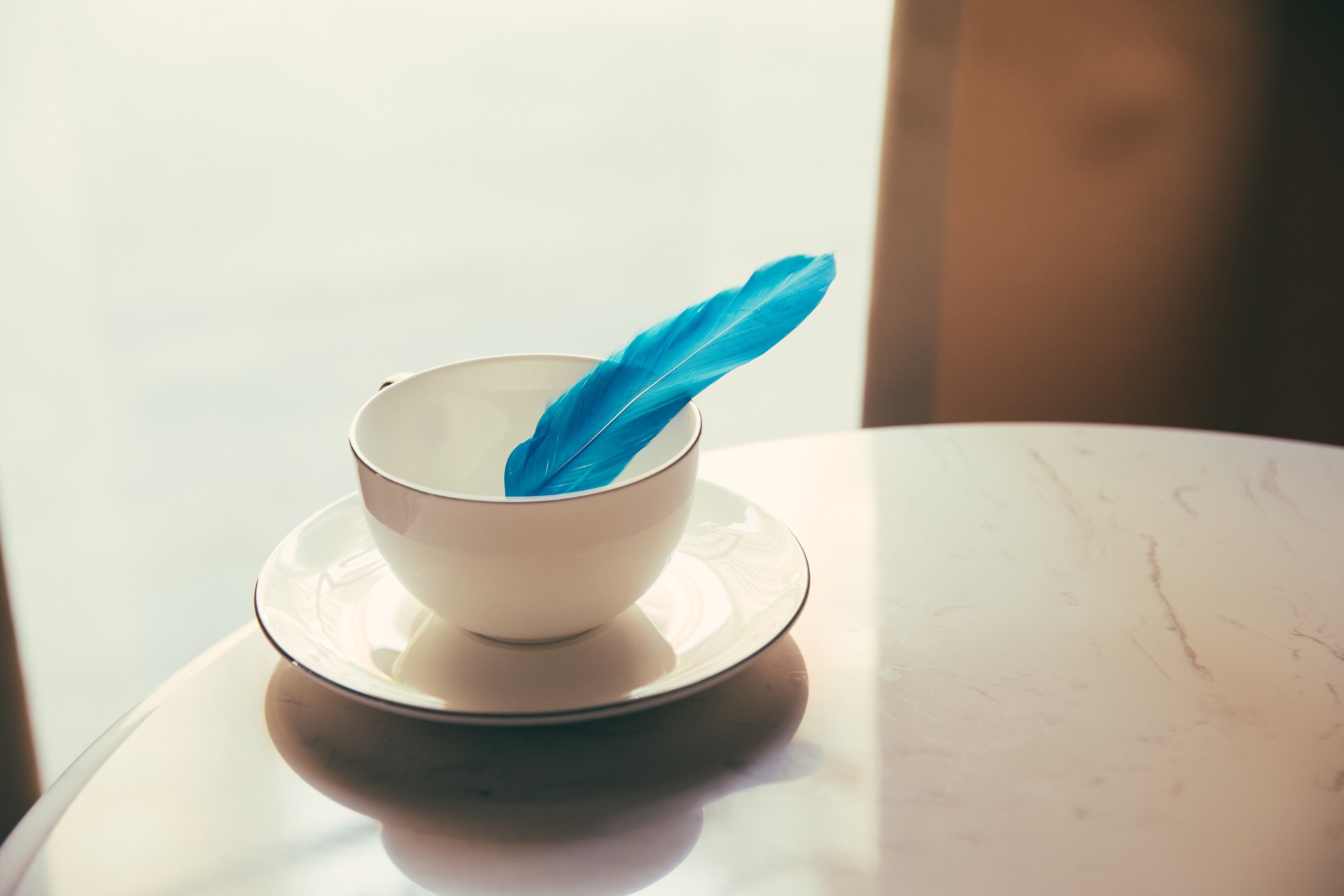 白色茶杯中放著藍羽毛,映著柔和窗光