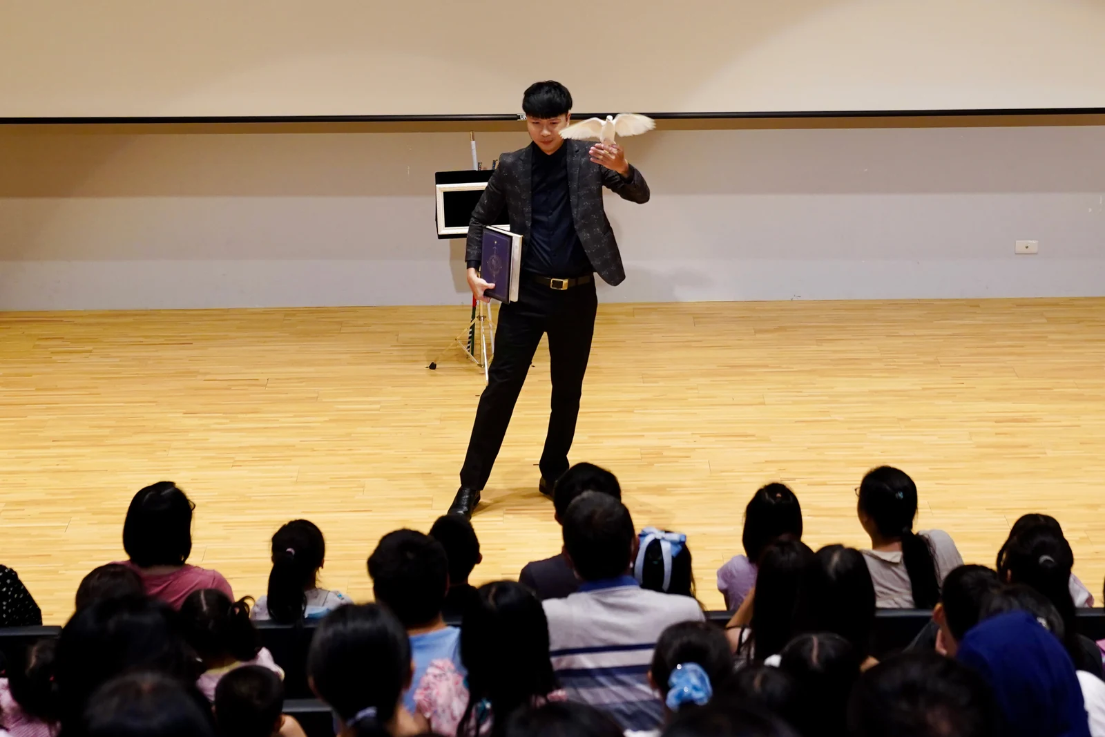 舞台上的鴿子魔術，呈現動作與視覺效果的配合